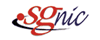 sg domain extension logo